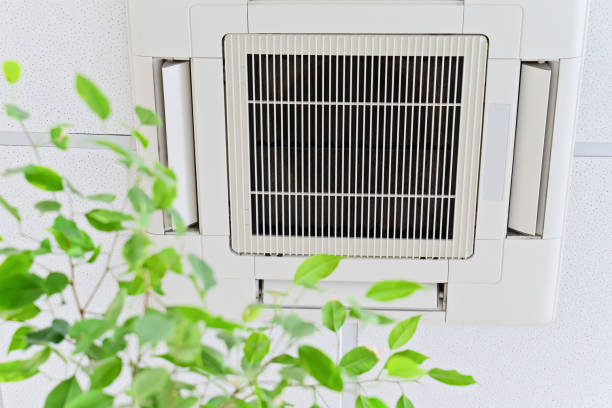 Best HVAC Air Duct Cleaning  in Ricardo, TX